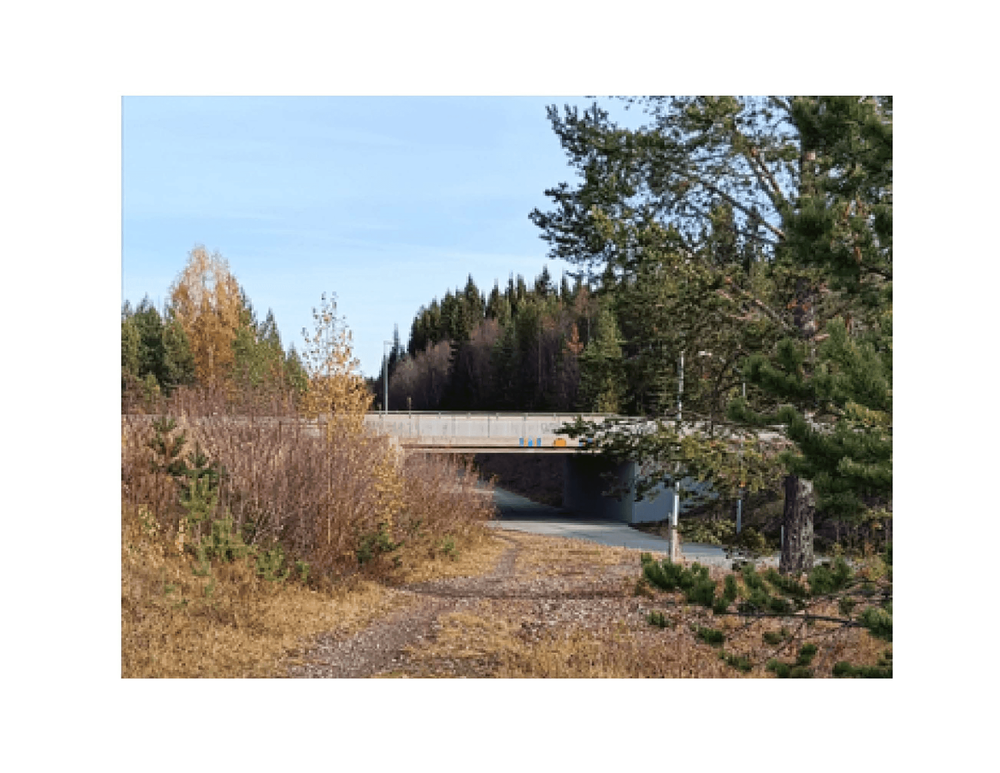 Del av parkmarken med stigen, mot underfarten och vidare till Hägnvägen. 